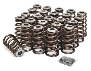 Valve Springs