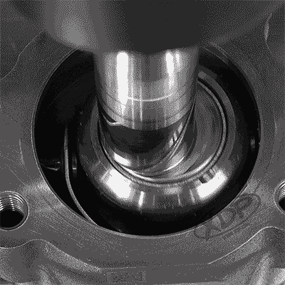 DCR Fuel Pump Internals
