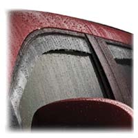 Bug Shield & Window Deflectors