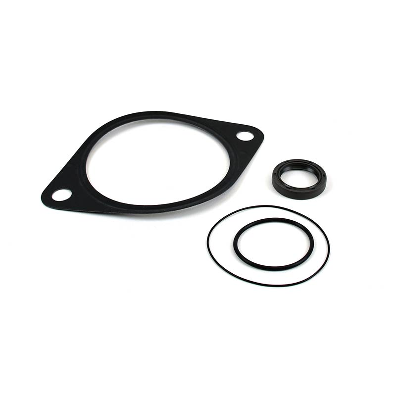 Cummins 4089742 Vacuum Pump Reseal Kit