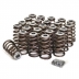 Thumbnail for XDP Performance Valve Springs & Retainer Set XD313