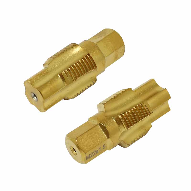 CHOTOSS Lume_shot_731760ba-b644-49c0-