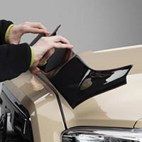 Bug Shield & Window Deflectors