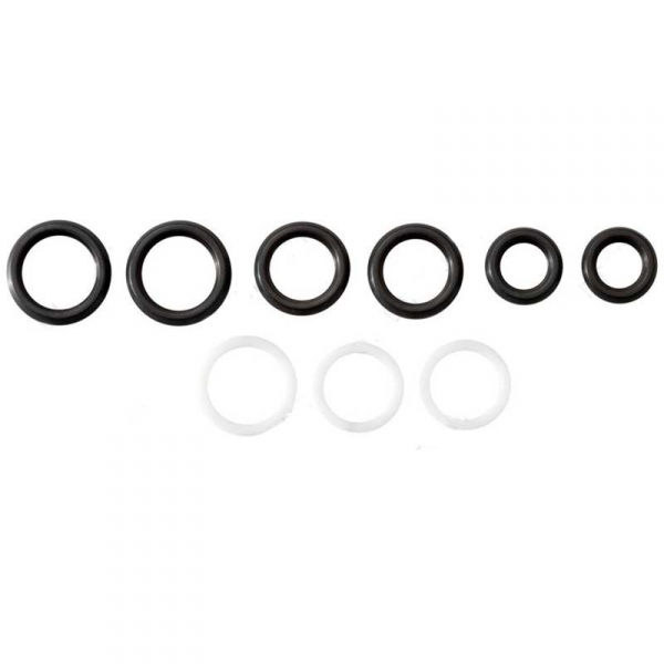 Image 1 for Alliant Power Stand Pipe & Front Port Plug Seal Kit AP0028