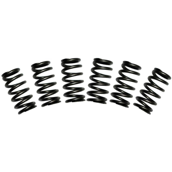 Image 1 for BD Diesel 60# Valve Springs 1030060