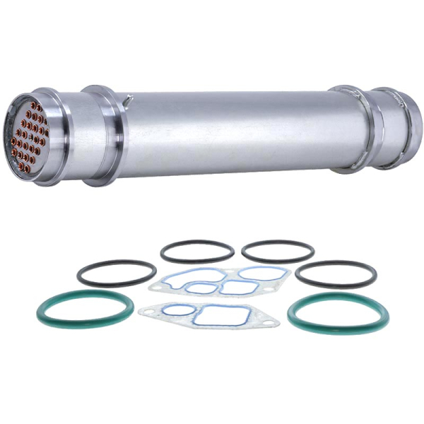 Bostech BC8102735 Engine Oil Cooler | XDP