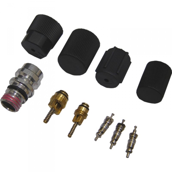 GPD 1311572 A/C System Valve Core And Cap Kit | XDP