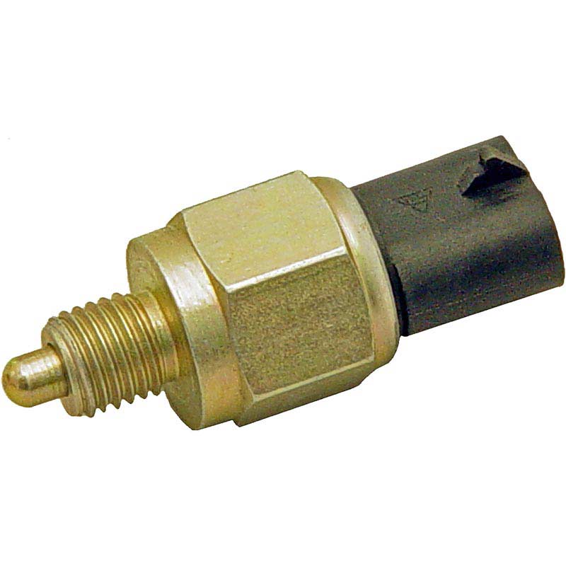 600-550_Dorman_2022_1.jpg