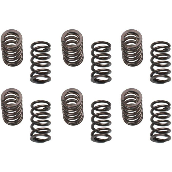 Image 1 for Industrial Injection 24G801 150LB Valve Spring Set