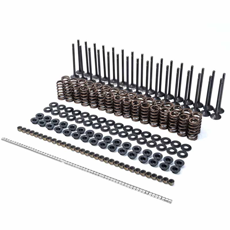 PPE 110090080 Valve & Valve Spring Kit XDP