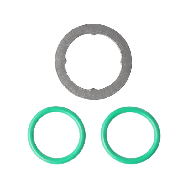 Image 1 for PPE EGR Valve Replacement Gasket & O-Rings 316160000