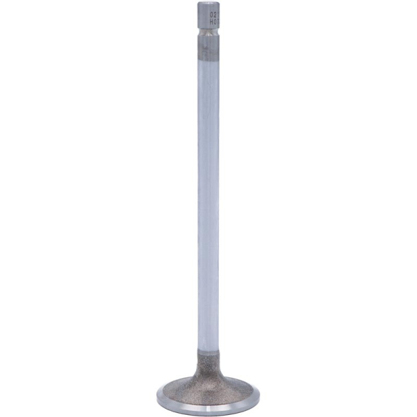 Image 1 for SBI Intake Valve 02179
