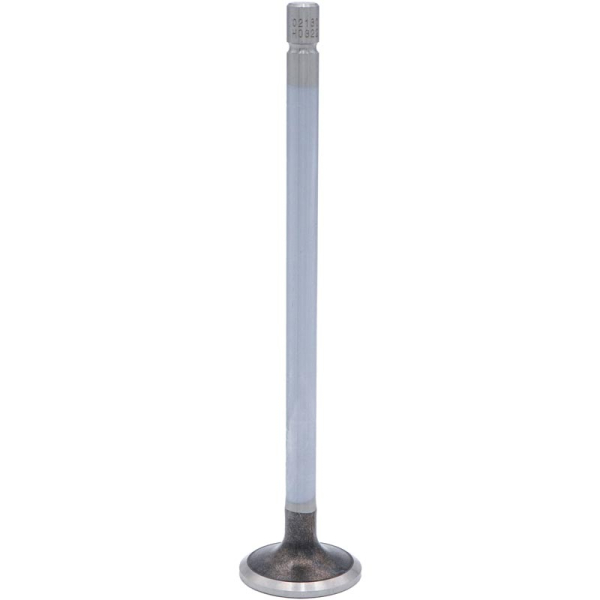 Image 1 for SBI Exhaust Valve 02180